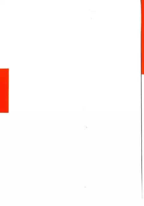 Shin Kyonyuu Kazoku 1