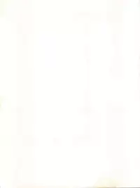 FLOWER VICTIM II EURI EDITION