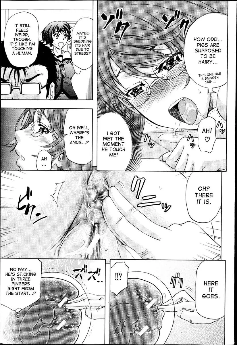 There's a Pig In The box