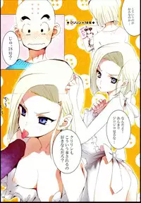 (C85) [S-FLAKE (Yukimitsu)] DRAGON NIGHT (Dragon Ball Z)