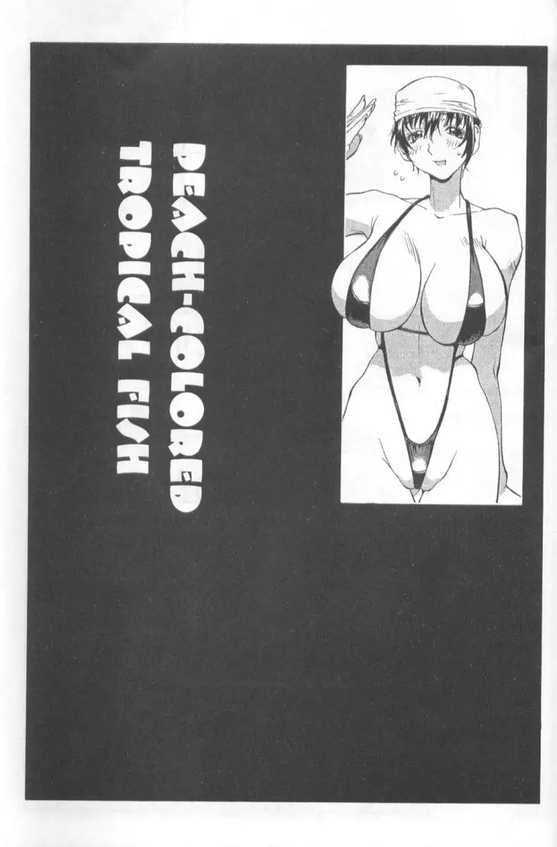 Midara 8 - Peach Colored Tropical Fish