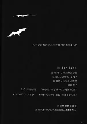 In The Dark -durarara doujinshi-