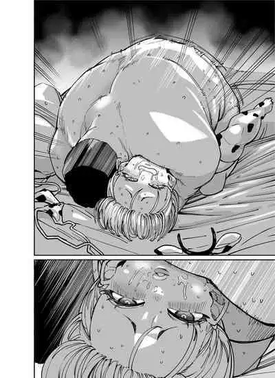 FANBOX Matome Vol. 01 Hamerare Daisuki Bitch-chan