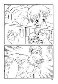 [Shadow's] Shadow's 06 (Tear Ring Saga)