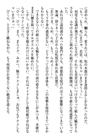 年上メイドの新婚日記