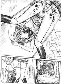 [TOWA.] Ana ga Atta kara Iretai. (Hidamari Sketch)