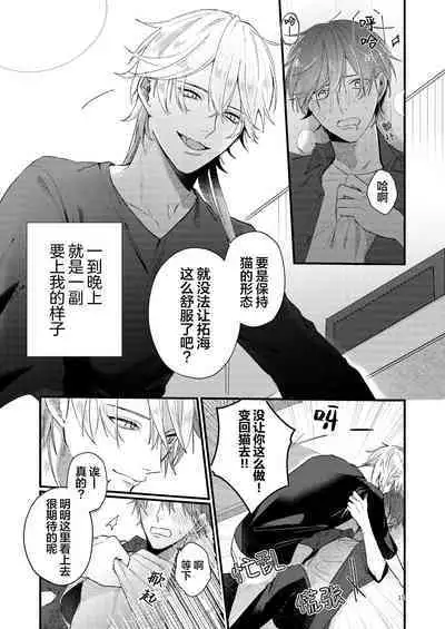 捡回家的猫竟是猫妖