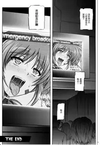 (C79) [Cyclone (Izumi, Reizei)] 767B (Mahou Shoujo Lyrical Nanoha) [Chinese] [脸肿汉化组]