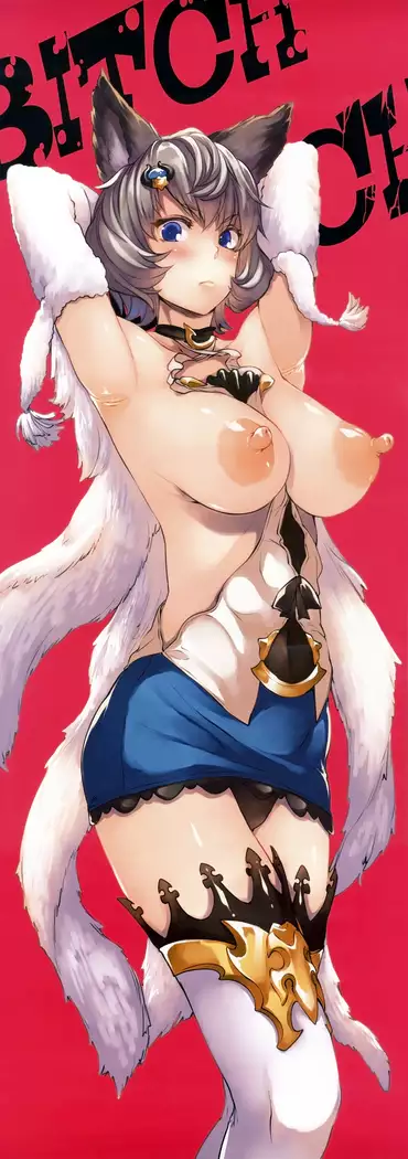 BITCH & WITCH Preview Ban ＋ Tanzaku Poster