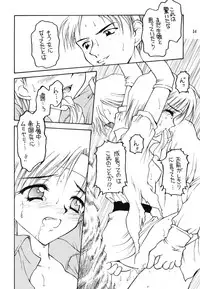 [Shadow's] Shadow's 06 (Tear Ring Saga)