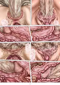 [Koga Ryouhei] PrelfIllust No3 HighComics