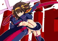 HaruCos 9