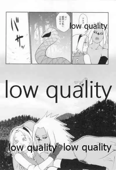 Time Travel Honeymoon 2