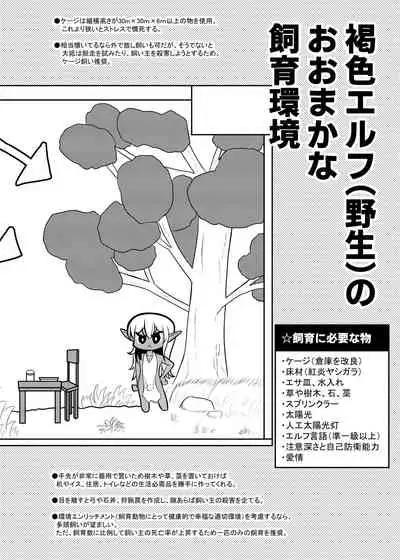 Kasshoku Elf-kun no Kaikata