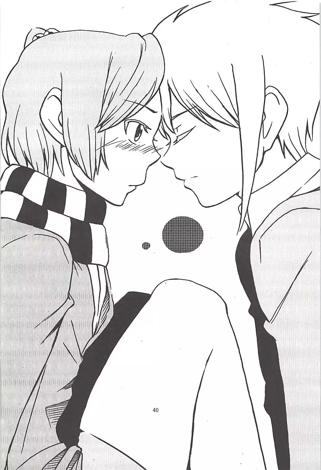 Pawaplus H 2013 Fuyu