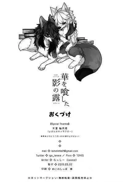 (Kansai! Kemoket 8) [Lomelette (Lassie)] Hana o Shokushita Kage no Tsuyu