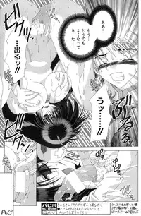 Comic Papipo 2000-03