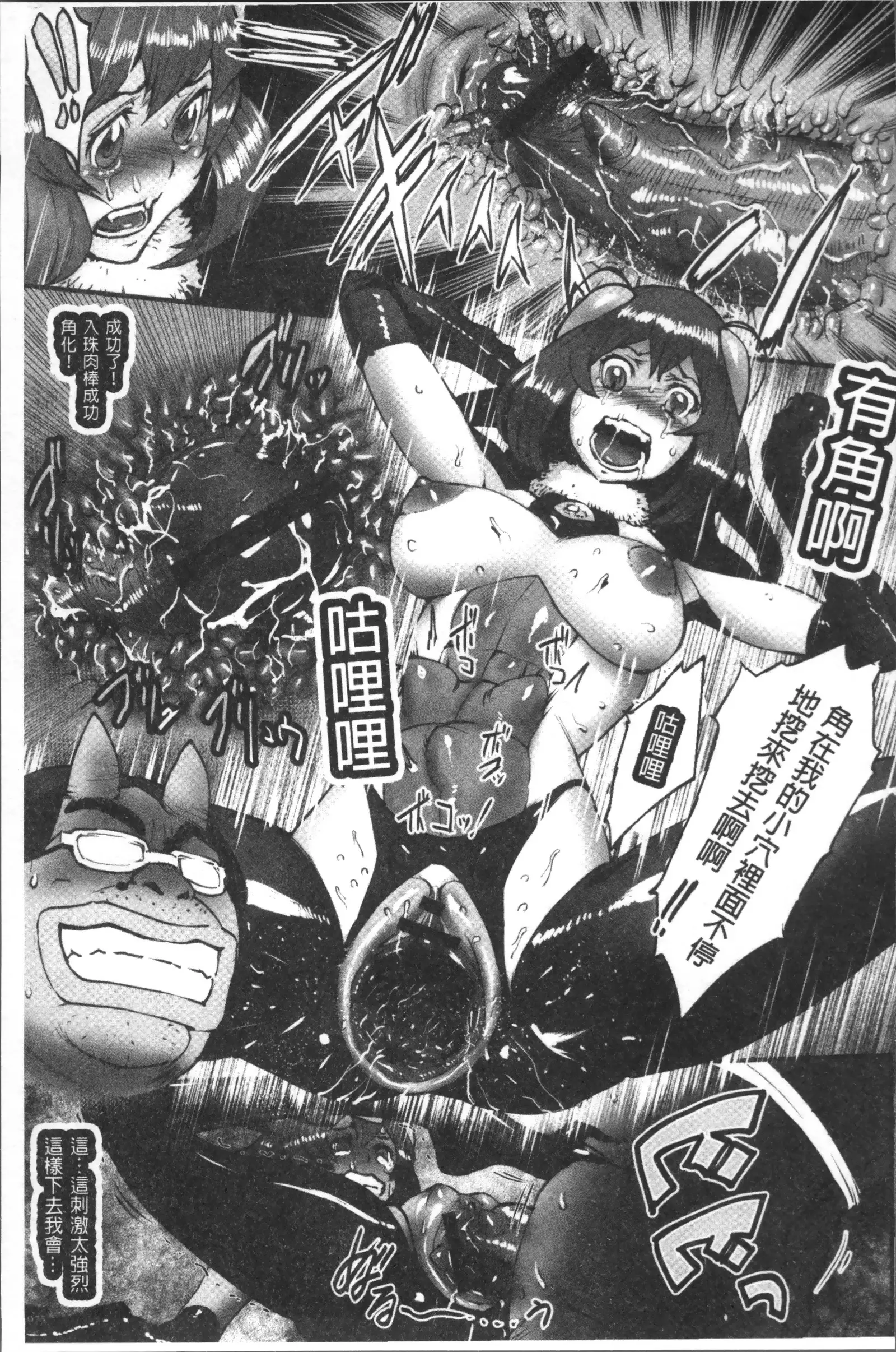 Hime to Dragon - Princess & Dragon | 姬與淫猥惡龍