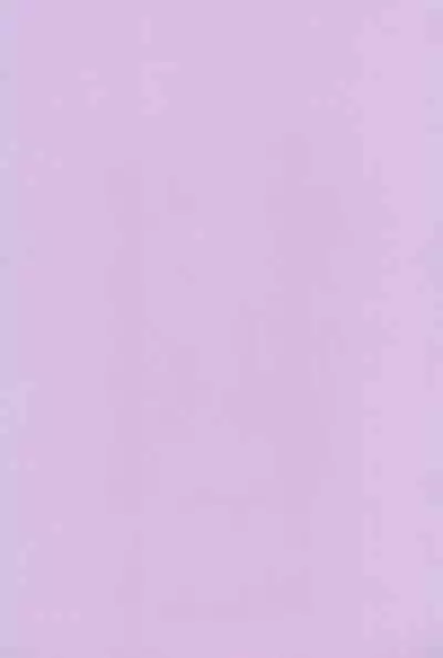 Ani to Kyonyuu Imouto to Futanari 3P to Musuko mo...?