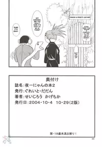 [Great Dadan (Seijirou Kagechika)] Yoruichi Nyan no Hon 2 (Bleach) [English]