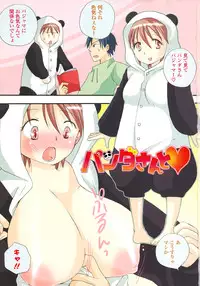 [BENNY'S] Elder Sister Assort