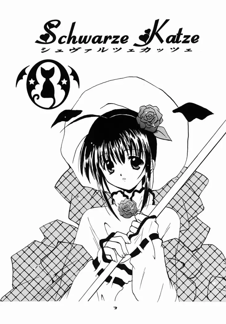 Schwarze Katze