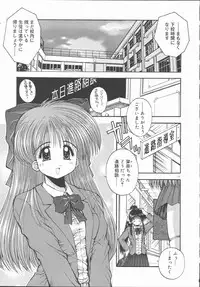 [Kamogawa Tanuki] ELEMENTS