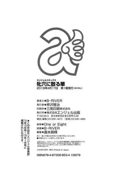 [B-RIVER] Mesuana Ni Chiru Hana [Digital]