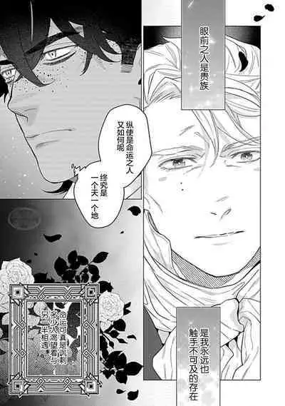 Hoshikuzu no Debutante | 玫瑰香的命定之星