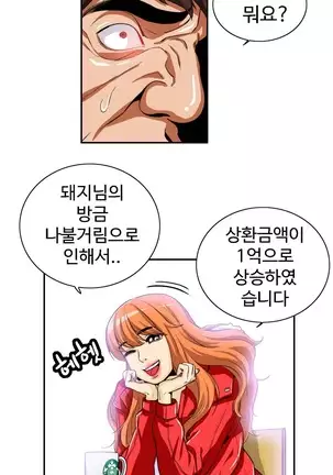 Chauffeur Service Ch.1-30.5