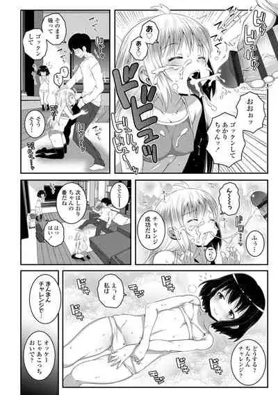 Soutaisei Virgin Theory