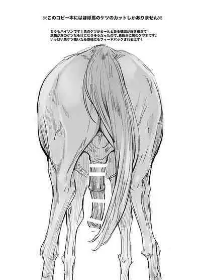 Uma no Ketsu to Shasei Bon