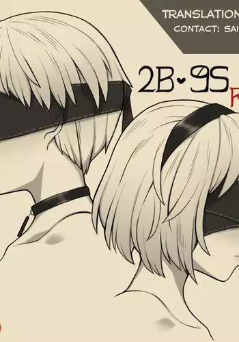2B 9S