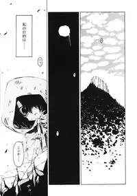 COMIC RiN 2009-08
