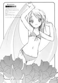 (Digi Natsu. 2006) [Electromagnetic Wave (POP)] Flower garden (Various)