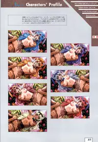 (一般画集) [ALICESOFT] Kichikuoh Rance