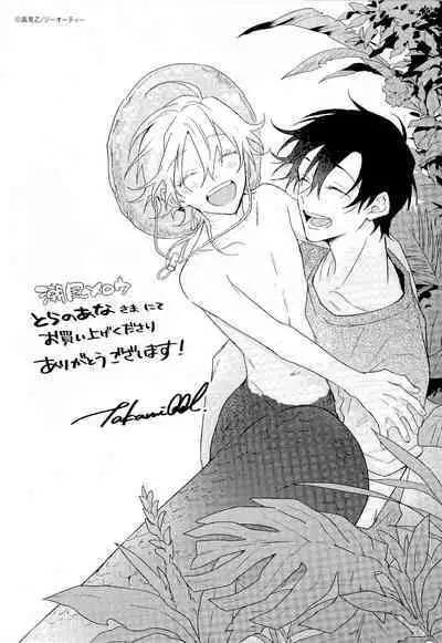 Shiokaze Mellow | 海风轻柔