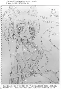 (C87) [PHYSALIS (Seresu)] Roughbon 2 (Mahou Shoujo Lyrical Nanoha)