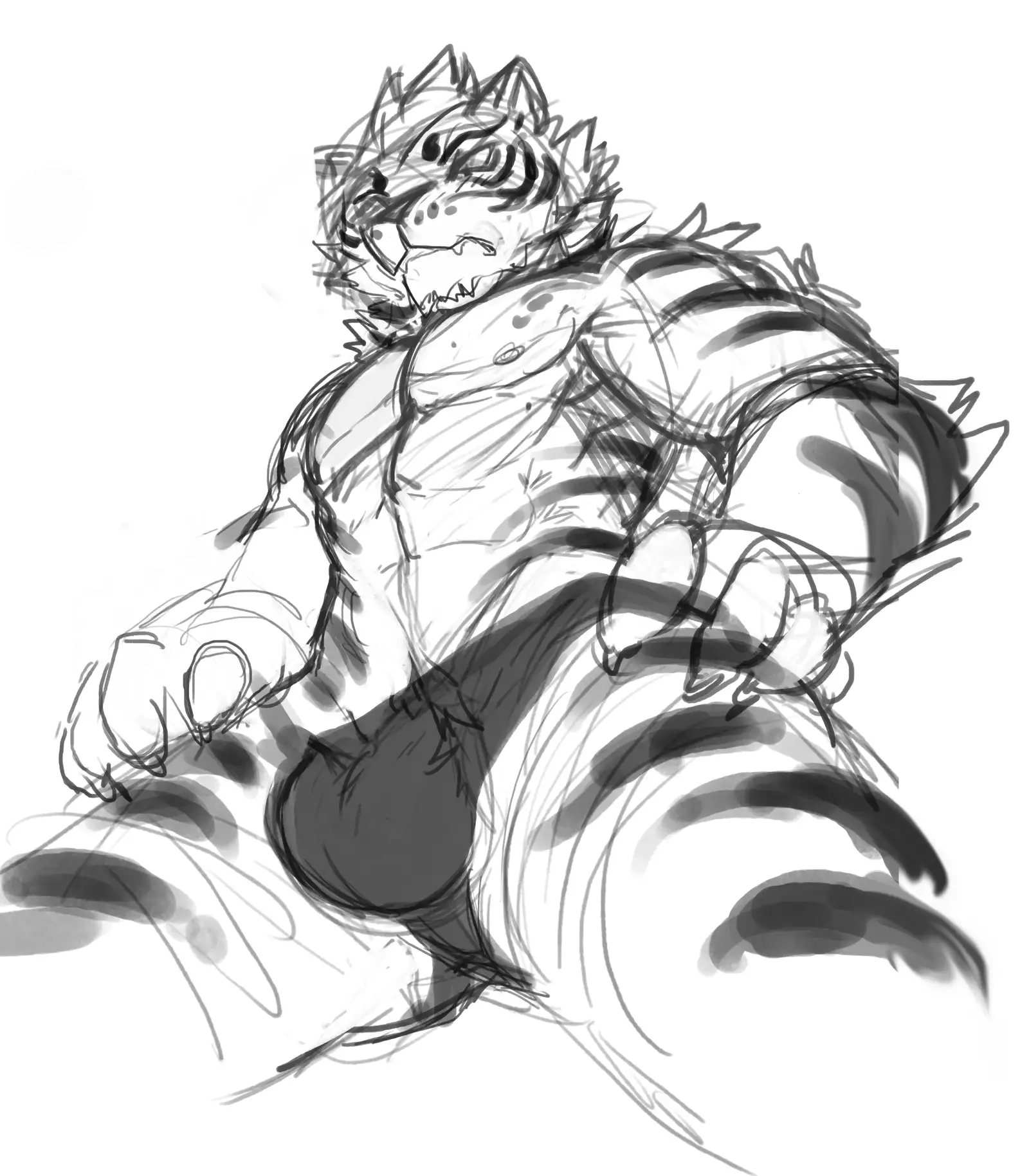 Nekojishi February 2018 Package Reward + Extras