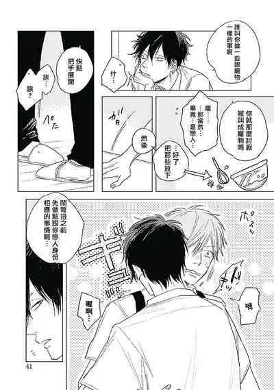 Like a Sugar | 爱似甜点 Ch. 1-5