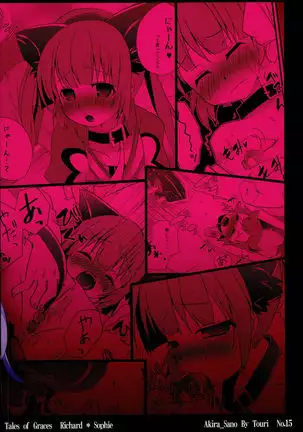 Tadashii Nyanko no Shitsukekata