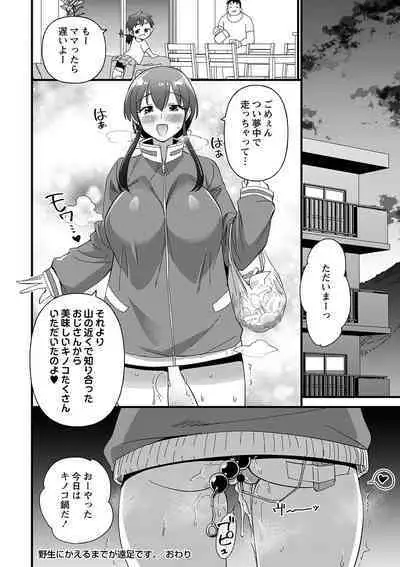 Nikurin mesu ochi akume jigoku