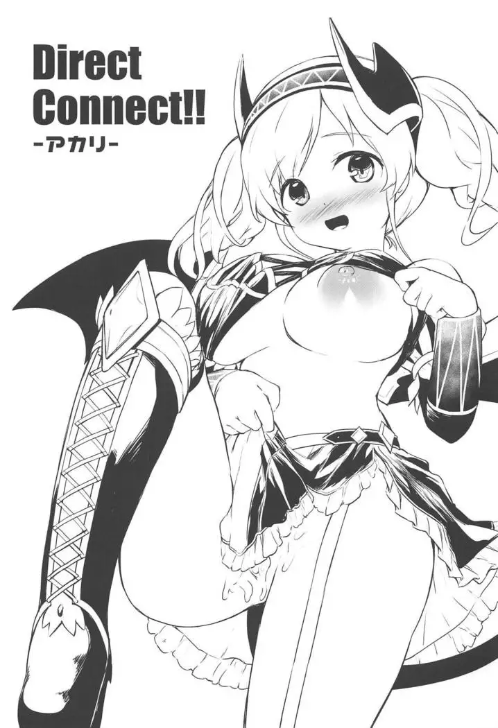 Direct Connect!! -Akari-