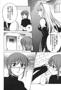 (C72) [Circle Taihei-Tengoku (Aratamaru)] Mousou Oujo (Kaibutsu Oujo / Princess Resurrection)