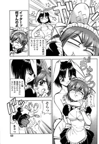 [Itoyoko] Mesu Neko - Maid Cats Story