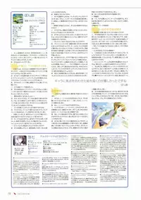 Canvas Visual Fan Book