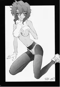 (C48) [Ebisen Kikaku (Kariya Tsukasa)] G n S mi (Gunsmith Cats)