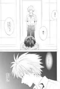 (C83) [Praline (Suzunari Natsuru)] Nr.9 (Neon Genesis Evangelion)