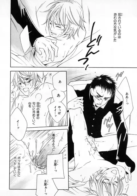 b-BOY Phoenix Vol.4 Seikantai Tokushuu