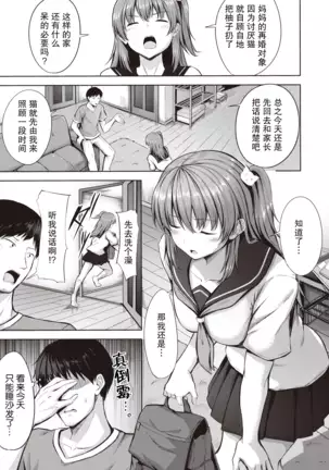 Iede Neko Melancholic | 离家出走小猫的忧郁